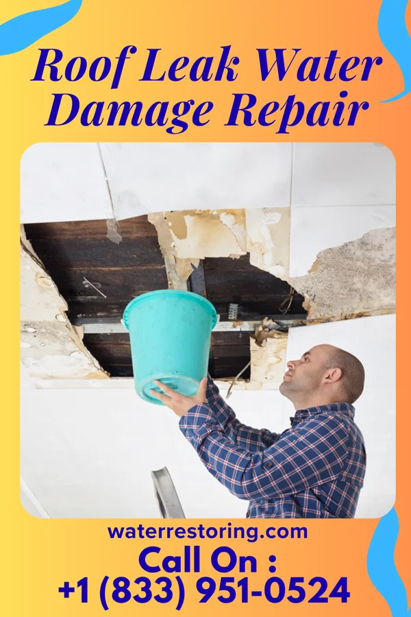 Roof Leak Water Damage Repair in Cocoa West, FL